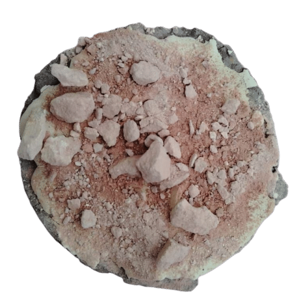 Pastel Chismorín