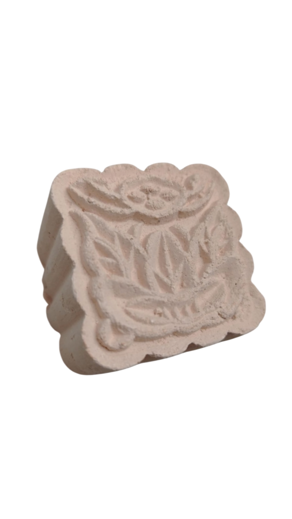 Nucita
