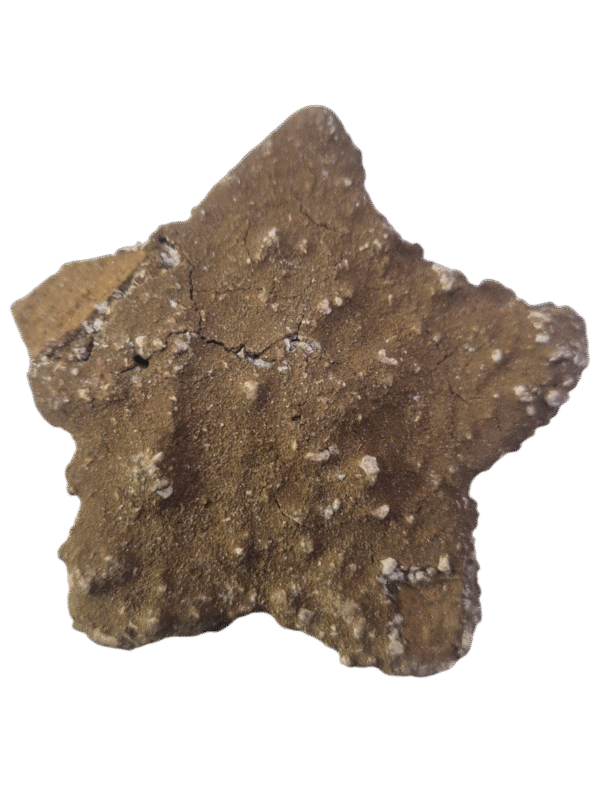 Galleta Estrella