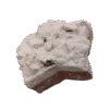 Galleta Estrella