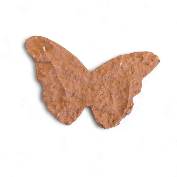 Mariposa Mistika