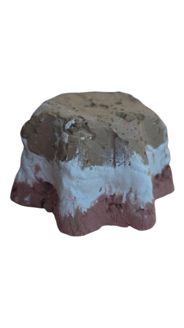 Estrella boreal