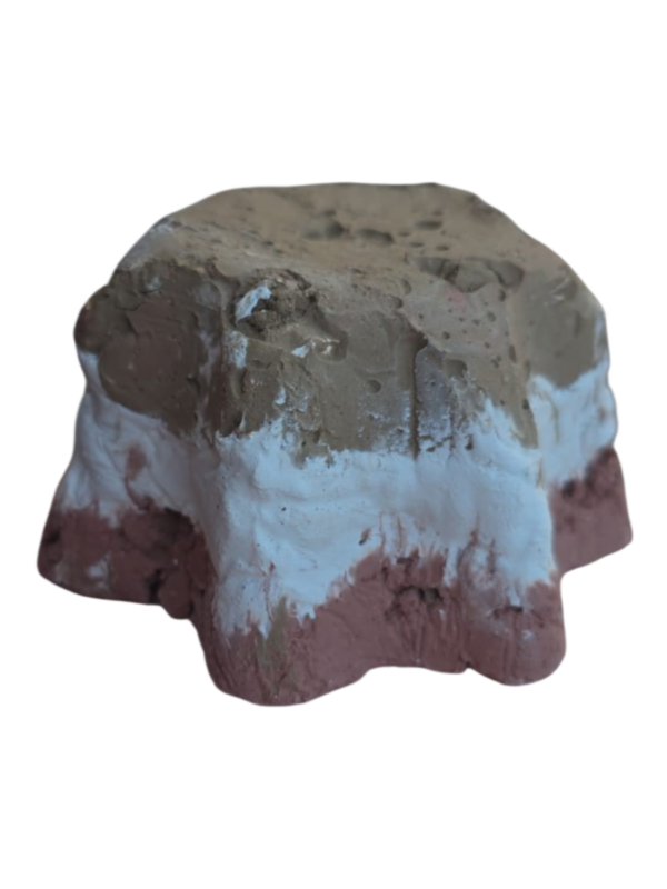 Estrella boreal