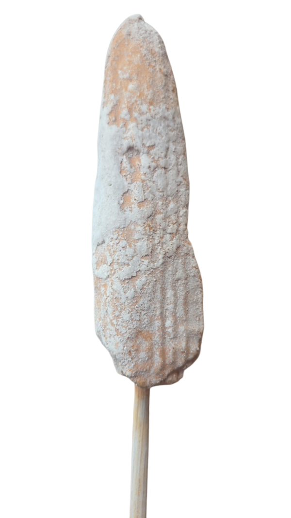 Elote