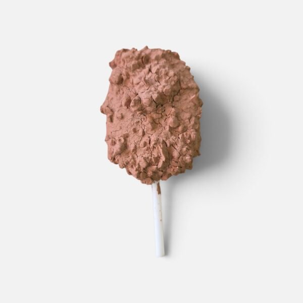 Paleta Terracoa