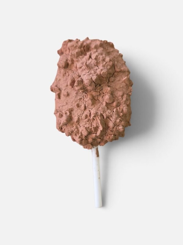 Paleta Terracoa